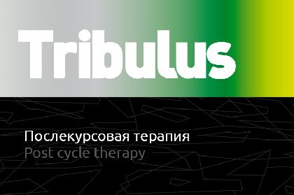 Tribulus